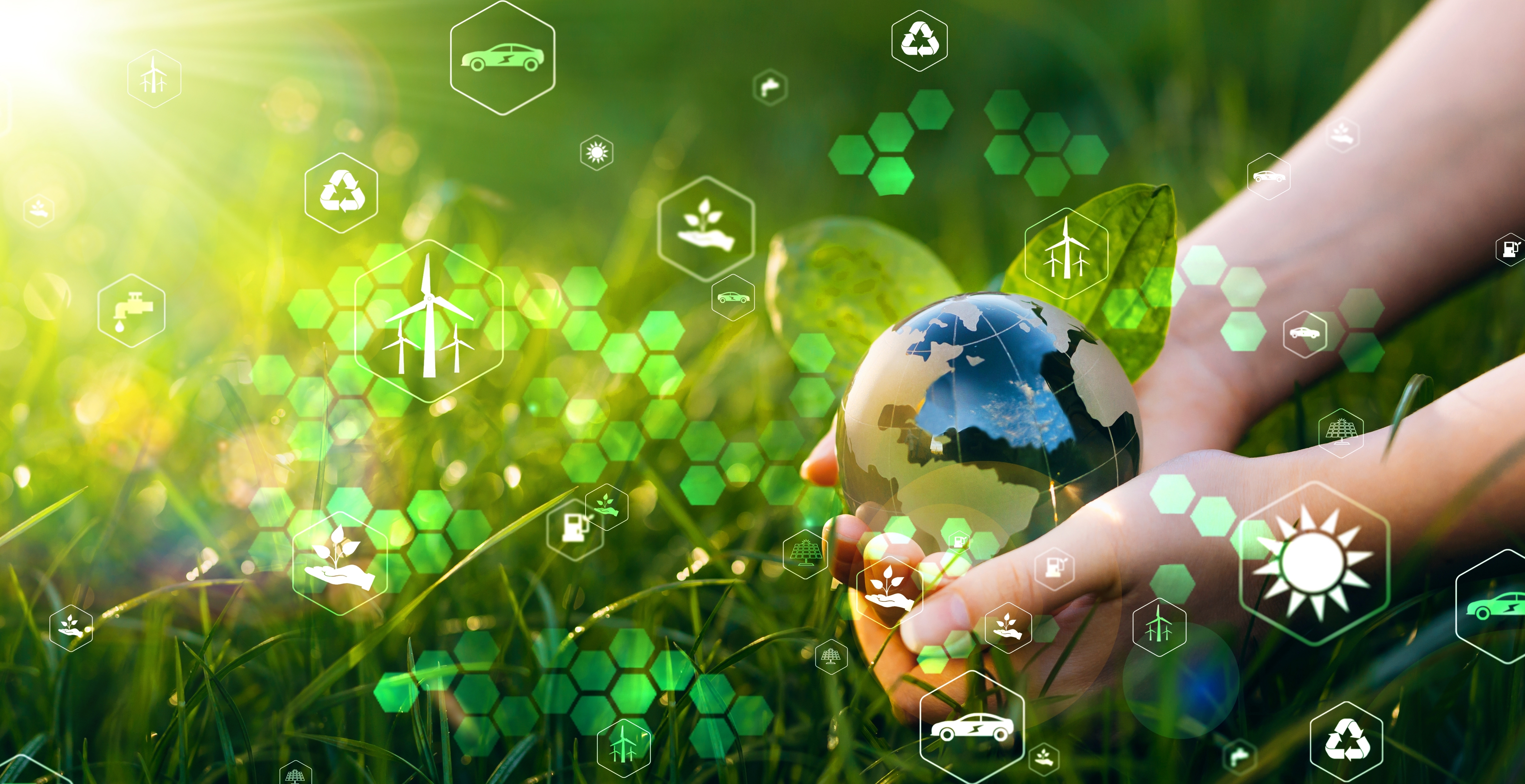 Sustainable Living